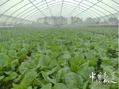 江西沃邦农科技术值得推广