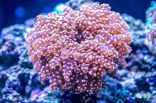 听说关于蛋分，你还在被忽悠？