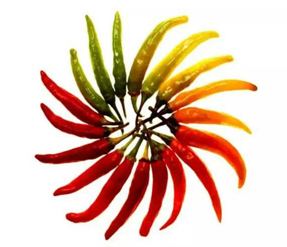 你为什么一直长痘痘呢？你也许忽略了这些