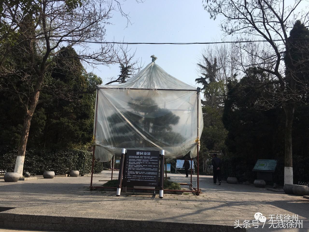 三民街的石板路,名校往事,老政府大院的1924,看徐州这条路