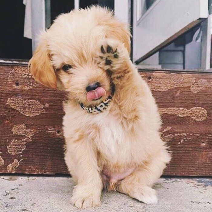 减轻包包重量，一个彩妆盘帮你搞定！