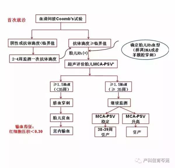 熊猫血女性是不是怀了容易流产,熊猫血的女人是不是很难受孕