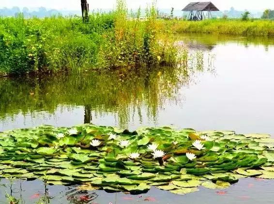 大辽源美景,大辽源视频