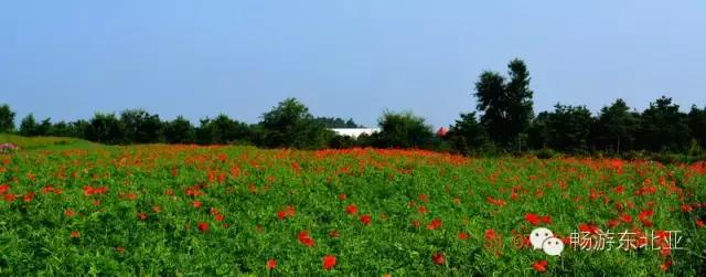 大辽源美景,大辽源视频