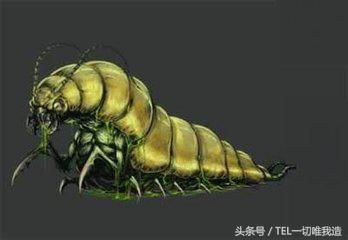 蛊虫，亦正亦邪，亦真亦假，带你了解这个神秘的物种
