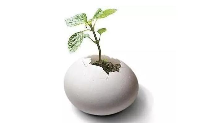 “大单品营销模式”来啦!