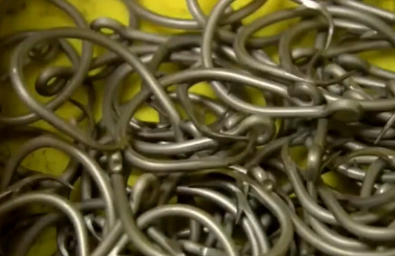 小小鱼钩的历史,小小鱼钩