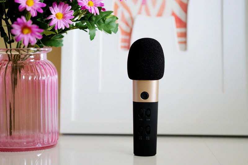 飞利浦麦克风测评,飞利浦dlk38001麦克风评测