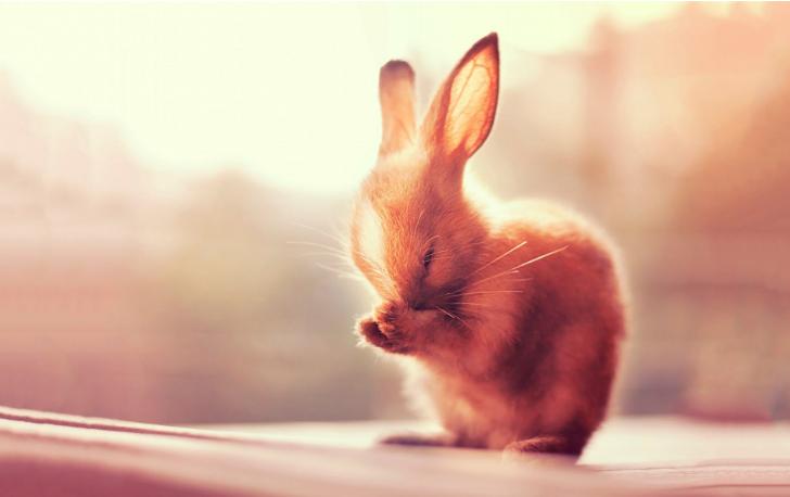 娶胖女人做老婆的好处,胖老婆的好处