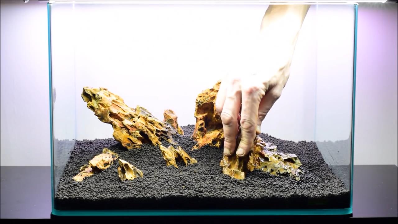 水草造景艺术从入门到精通pdf,初学水草造景教程