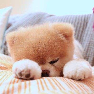 老人家失眠怎么办,失眠到天亮怎么办