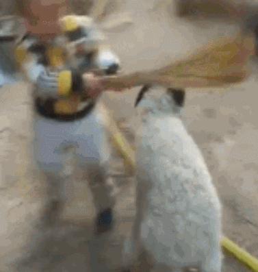 在家如何拔牙最快而且不疼的方法,最快又不痛的在家拔牙方法儿童