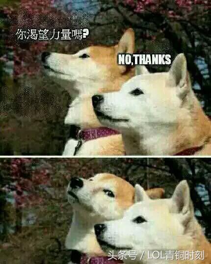 为什么英雄联盟一把只加十几分,为什么英雄联盟青铜局都一级团