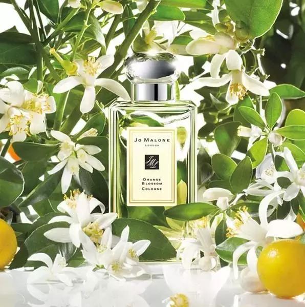 几款值得买的香水,有气质有个性的香水