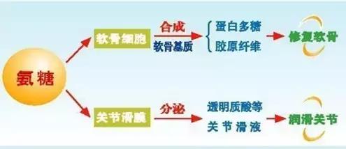 30岁之后关节会快速退化，有这6个习惯的人一定要小心！
