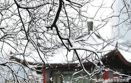 倒春寒口干舌燥,倒春寒怎样处理