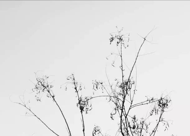 腾龙70-200mmf2.8效果,腾龙sp70-200mmf2.8g2