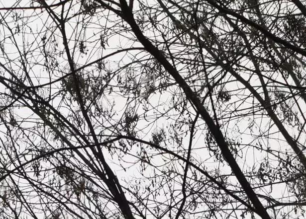 腾龙70-200mmf2.8效果,腾龙sp70-200mmf2.8g2