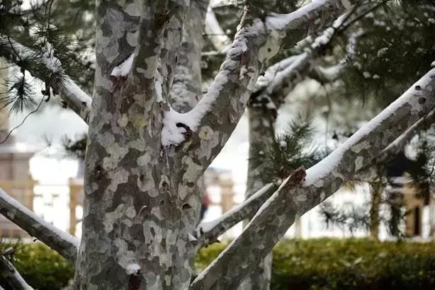 腾龙70-200mmf2.8效果,腾龙sp70-200mmf2.8g2