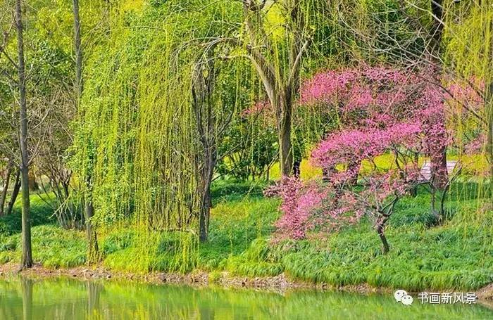 描写春柳春花的古诗词,春柳的诗词有哪些