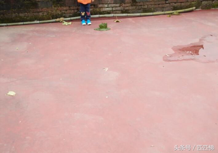 彩钢屋顶天沟漏水怎么办,屋顶女儿墙漏水最佳处理方法