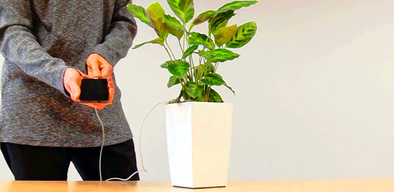 光合作用下一盆栽居然是手机充电器！华为苹果的充电器瞬间逊色了