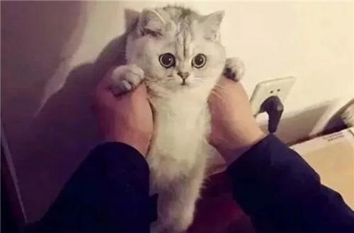 涂上口红好丑,涂上口红就不憔悴了