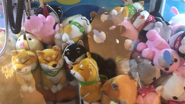 15秒抓娃娃机攻略,约会神助攻攻略