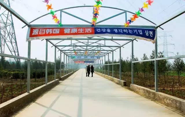 户县新西兰农场好玩吗,西安户县农场