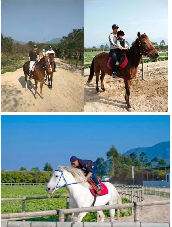 田野音乐会空降清逸园，花海与音乐，约不约？