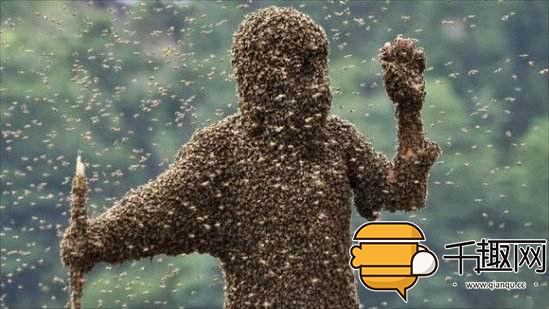 史上最奇葩的搞笑比赛,一场极度搞笑的奇葩比赛