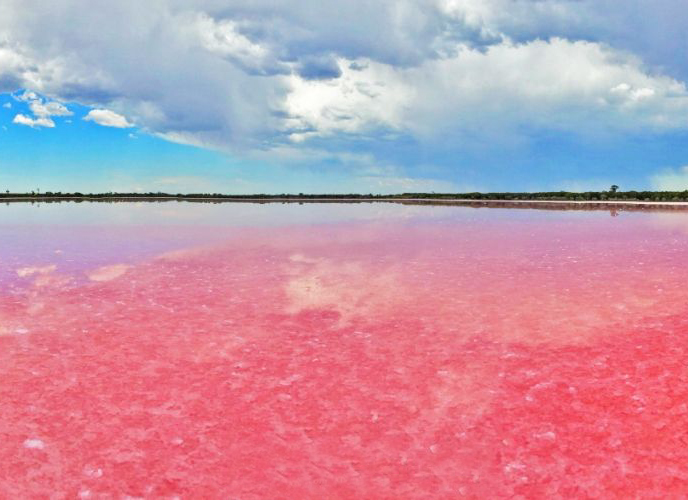 被祛痘的坑了怎么办,被祛痘机构坑了怎么让退剩下的钱