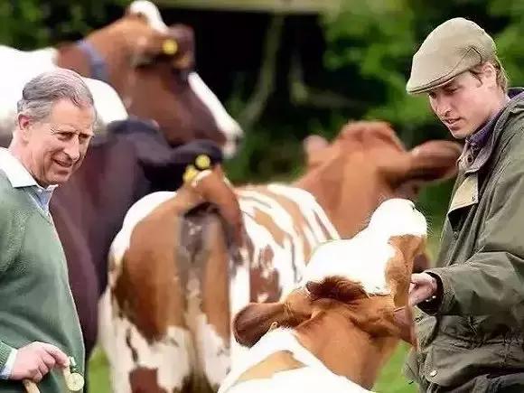 待位64年的王子,花30年将450万㎡荒地打造成世界最美庄园