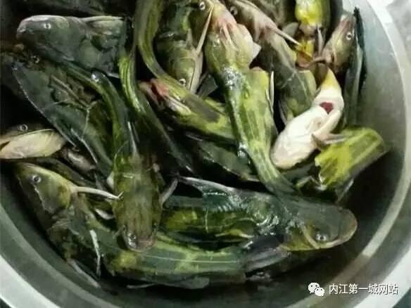 喜欢往咔咔角角拱的内江人，都找不到这几家塞满回头客的烂摊摊！