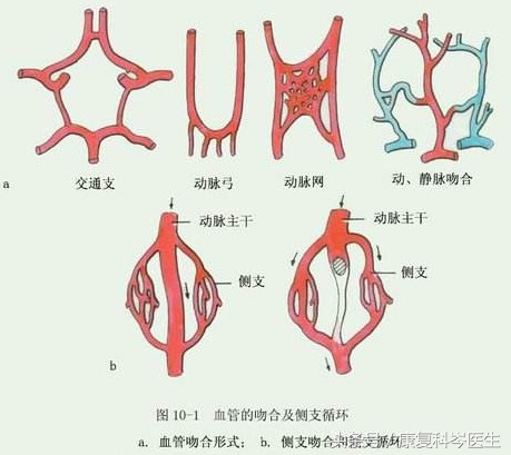 脑血栓治愈后还会复发吗,脑血栓血管堵塞还能再通吗