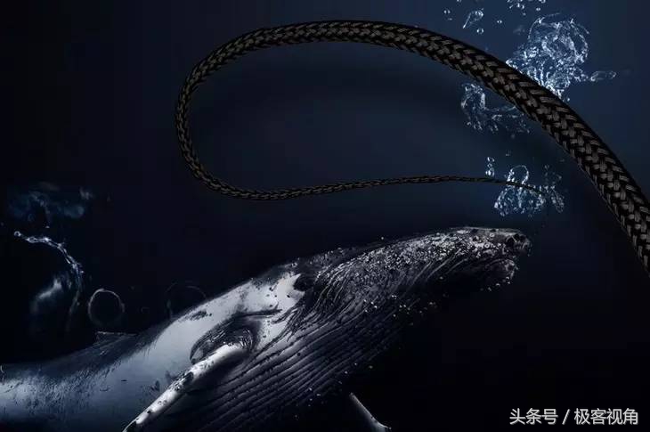 鍒拰鎴戞壇,鎵笉涔辨暟鎹嚎