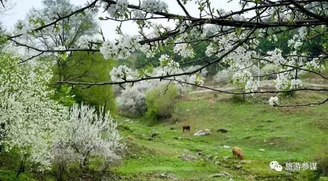 吉林省抚松县氡泉民宿,吉林省民宿旅游景点推荐