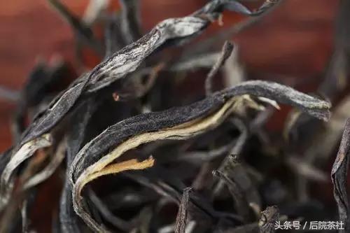 普洱茶鉴赏收藏册,古六大茶山的口感特点