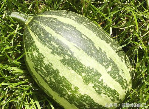 痛风最简单的远离方法,痛风后悔的十大习惯