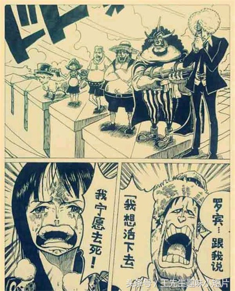 海贼王乔巴假扮船长,海贼王草帽海贼团乔巴悬赏金