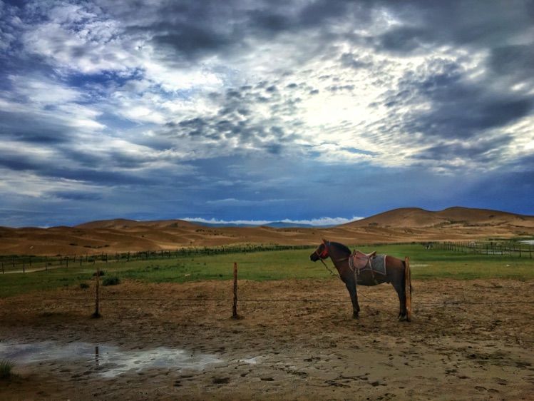 成都到青海湖最佳路线,成都去青海湖怎么去