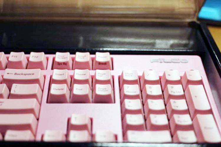 这些粉色的数码潮物，送给我的小公举