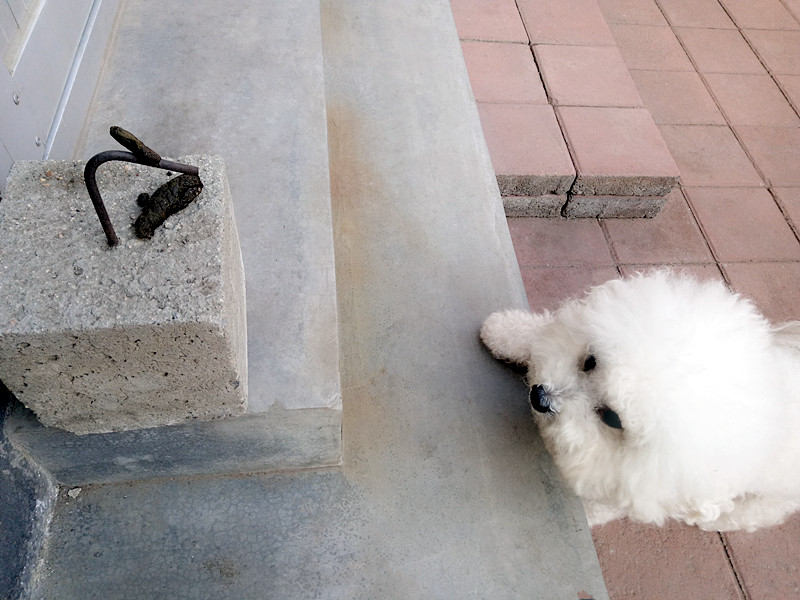 当我抬脚正要进屋时，目光突然被脚下一块顶门砖吸引了！