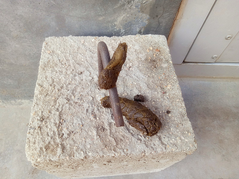 当我抬脚正要进屋时，目光突然被脚下一块顶门砖吸引了！