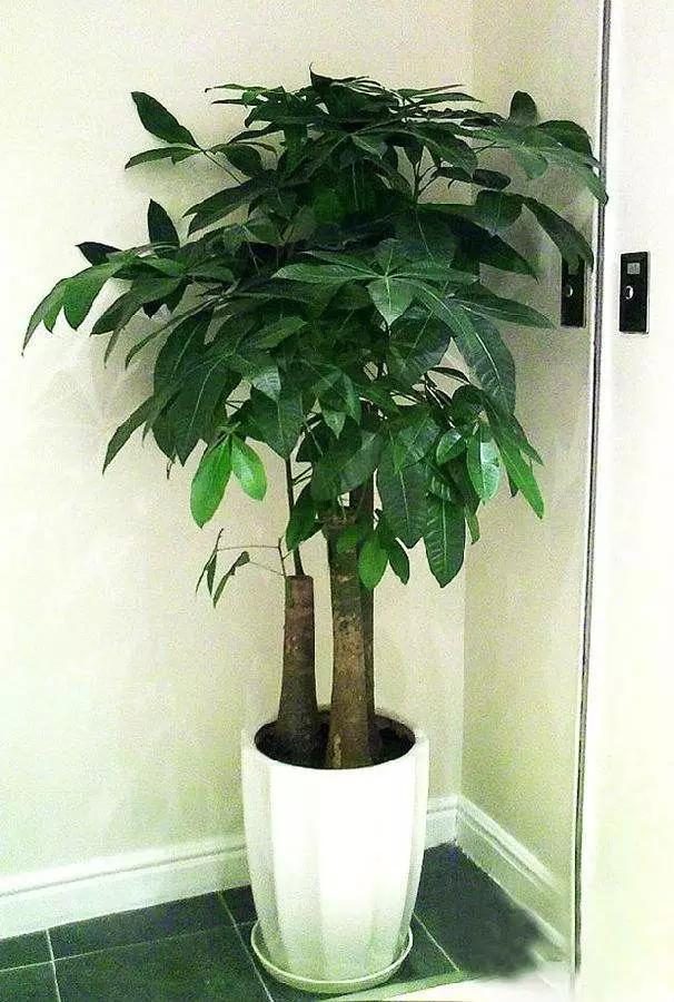 做好这几点让你少生病,做好这几件事能少吃很多亏