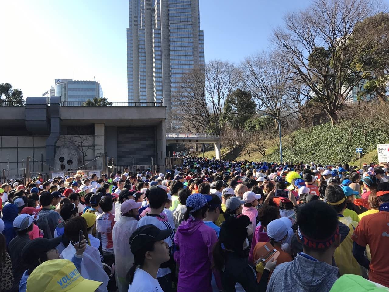 粗姐东马日记（二）2017年东京马拉松，四位中国跑友这样说