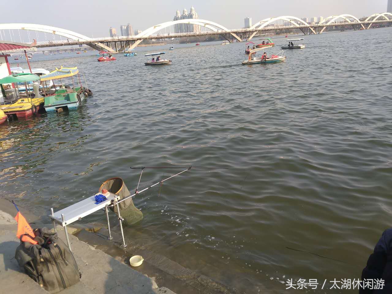 对南阳这座城市的评价,南阳是个美丽的城市风景很美