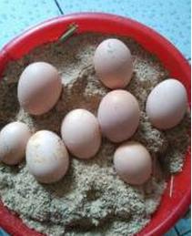 土鸡蛋怎么保存最有效,土鸡蛋如何保存更长久