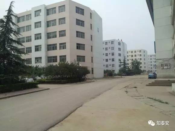 知*安泰**：*安泰**各所大学大PK