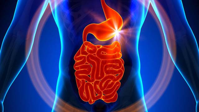 慢性胃炎的中医调理手法,人体哪个穴位可以有助于胃病缓解